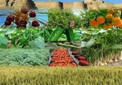 اختصاص 4 هزار میلیارد ریال تسهیلات به تعاونی‌های مازندران