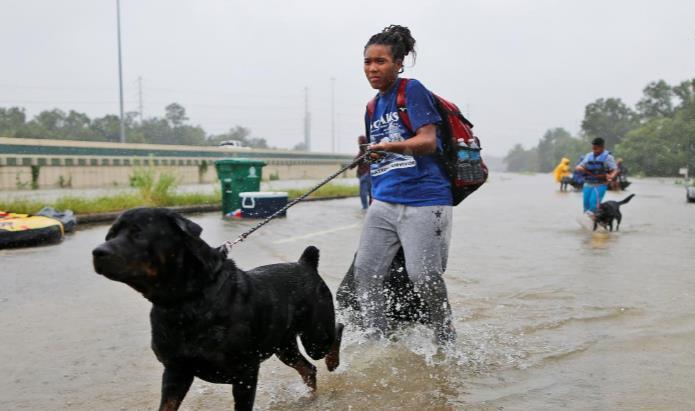 قاره آمریکا , نیویورک , 