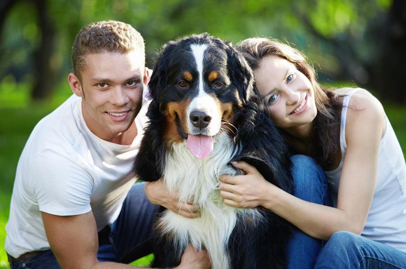 قاره آمریکا , نیویورک ,