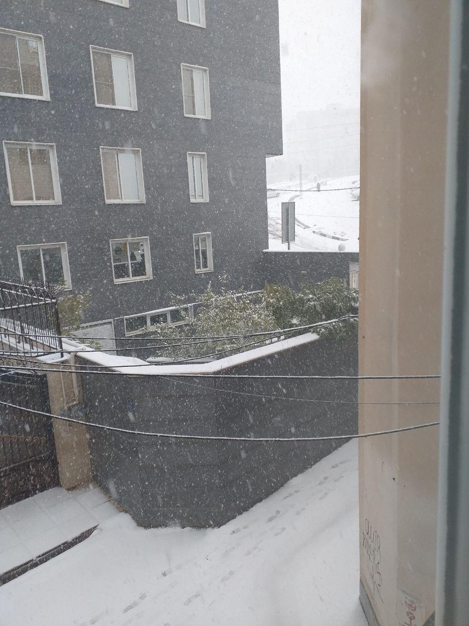 شهرداری تهران , 