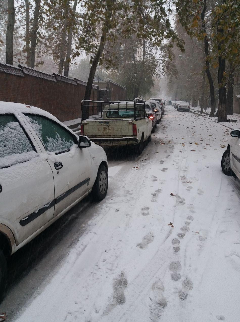 معاونت خدمات شهری شهرداری تهران , 