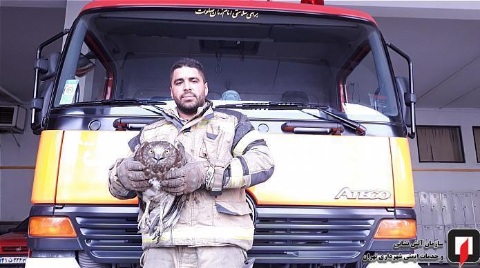 آتشنشانی , سازمان آتشنشانی تهران ,