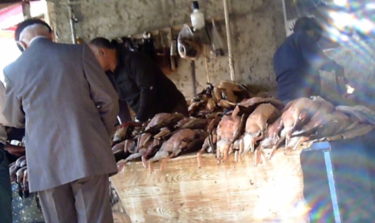 سازمان محیط زیست , 