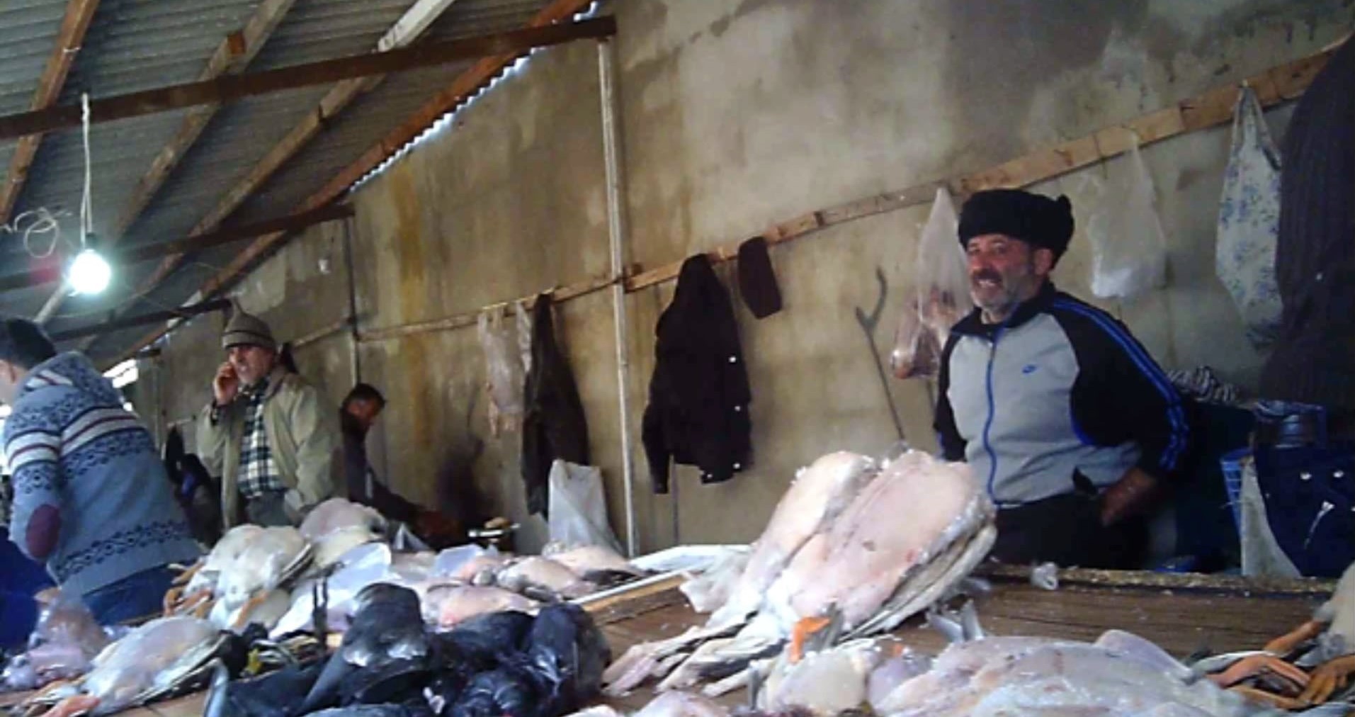 سازمان محیط زیست , 