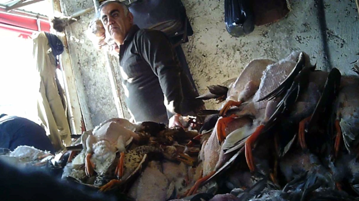 سازمان محیط زیست , 