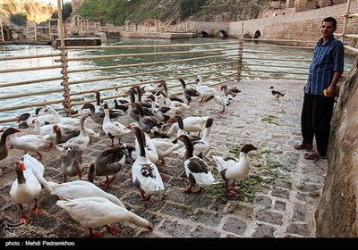 سازه‌های آبی شوشتر - خوزستان