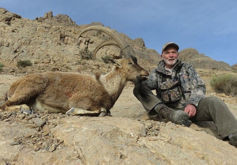 سازمان محیط زیست ,