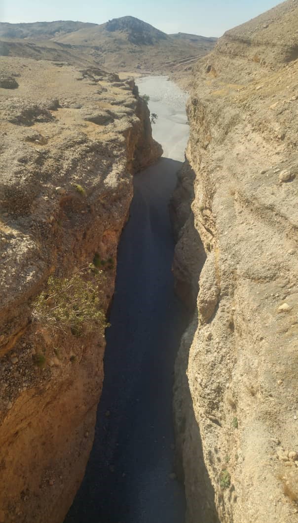 موسیقی , علیاکبر شکارچی ,