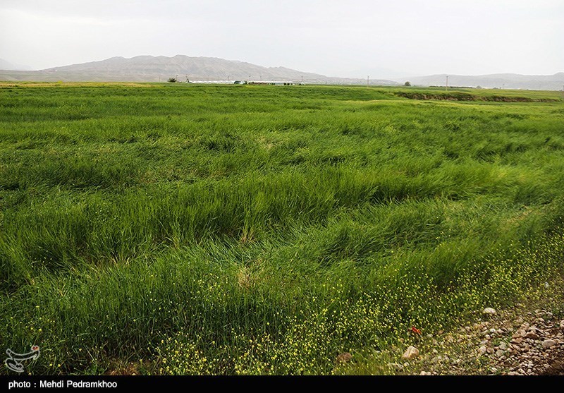 طبیعت پاییزی ایذه بهشت خوزستان