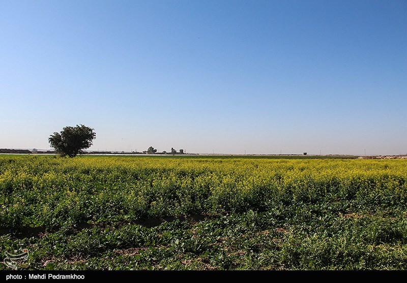 طبیعت پاییزی ایذه بهشت خوزستان