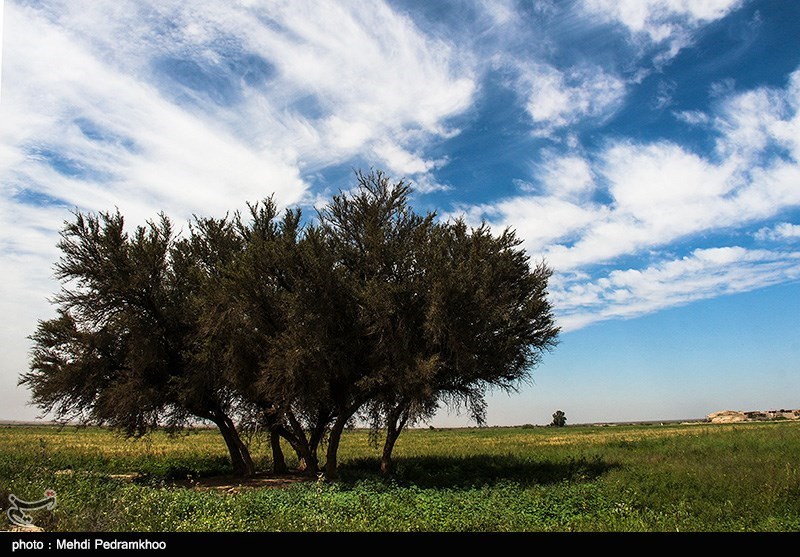 طبیعت پاییزی ایذه بهشت خوزستان
