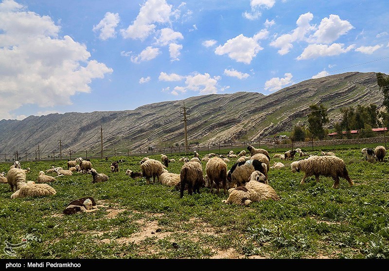 طبیعت پاییزی ایذه بهشت خوزستان