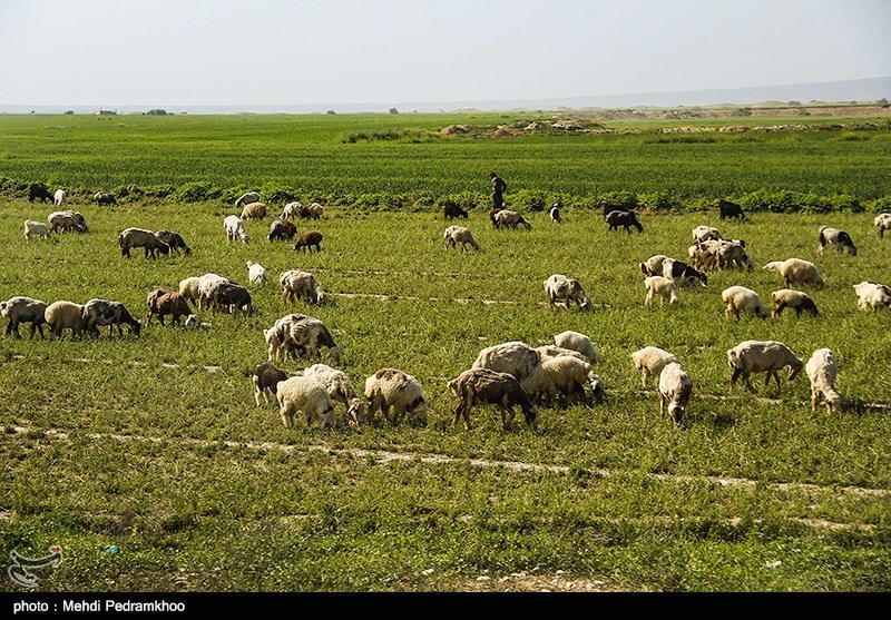 طبیعت پاییزی ایذه بهشت خوزستان