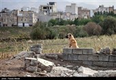 شهرک کرناچی در وضعیت بحرانی - کرمانشاه