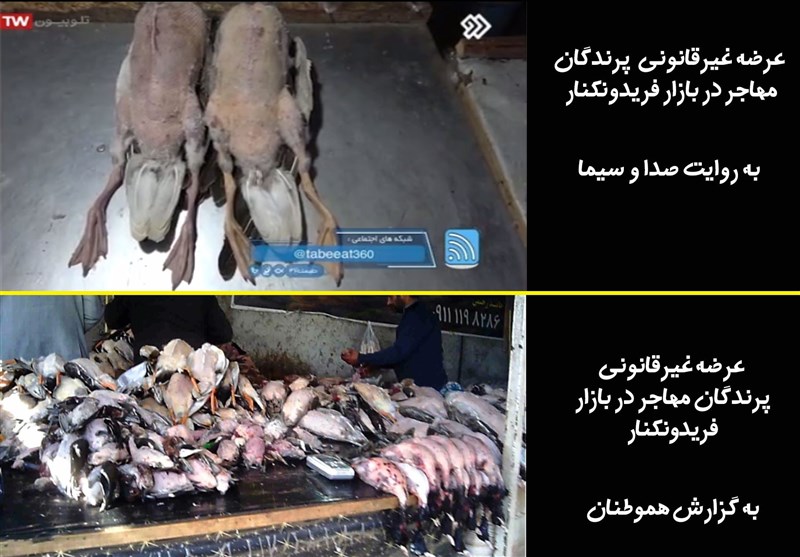 سازمان محیط زیست , صدا و سیمای جمهوری اسلامی ایران ,