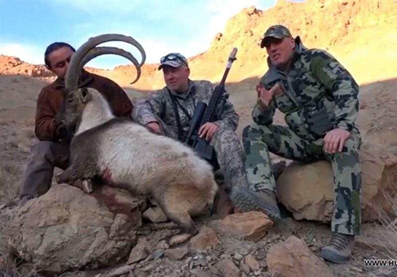 شکارفروشی , سازمان محیط زیست , شکار ,