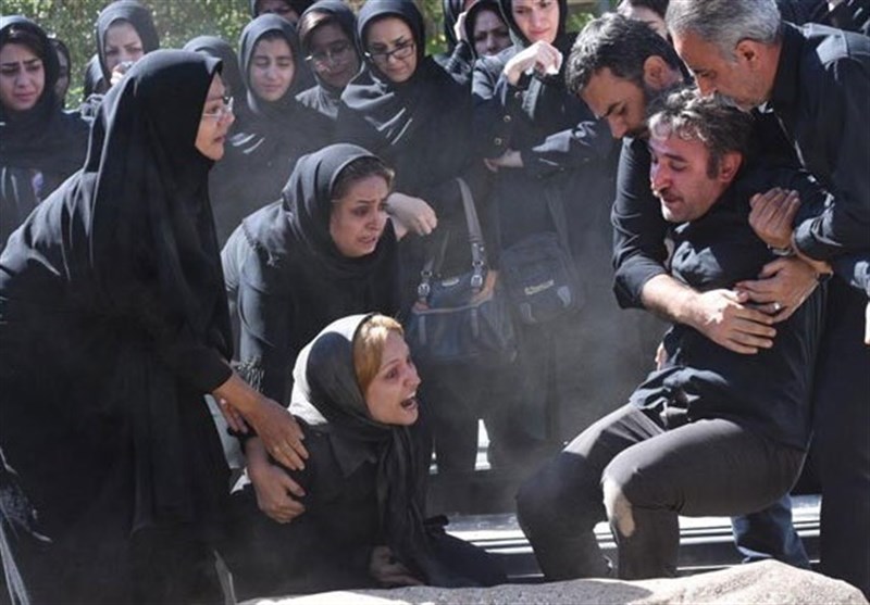 سینما , سی و هشتمین جشنواره فیلم فجر ,