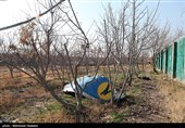 سقوط هواپیمای بوئینگ اوکراینی در جنوب تهران
