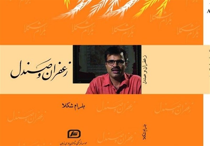 کشور هند , ترویج و گسترش زبان فارسی , کتاب و ادبیات , 