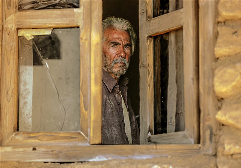 سینمای ایران , جشنواره فیلم فجر , 