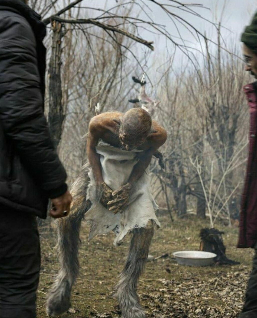 سینما , سی و هشتمین جشنواره فیلم فجر ,