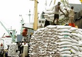 30 هزار تن برنج به زودی وارد استان بوشهر می‌شود