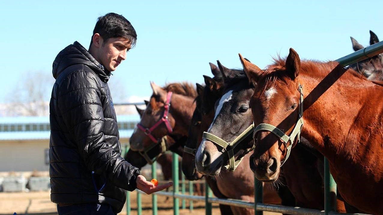 سردار آزمون ,