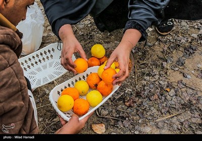 صرف غذای محلی در کنار هورالعظیم - خوزستان