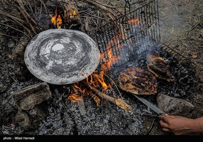 صرف غذای محلی در کنار هورالعظیم - خوزستان
