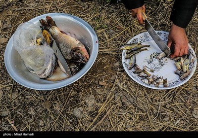 صرف غذای محلی در کنار هورالعظیم - خوزستان