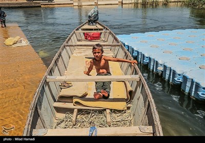 زندگی در تالاب شادگان