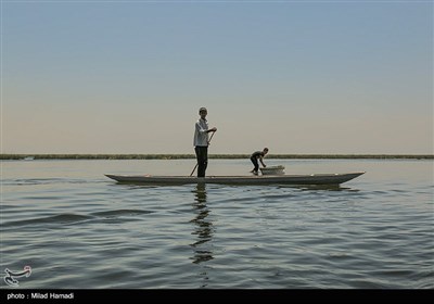 زندگی در تالاب شادگان
