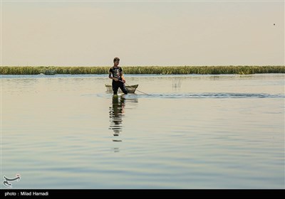 زندگی در تالاب شادگان