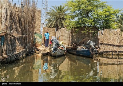 زندگی در تالاب شادگان