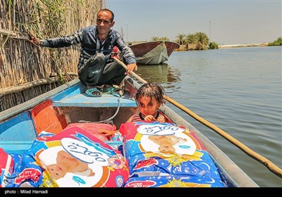 زندگی در تالاب شادگان