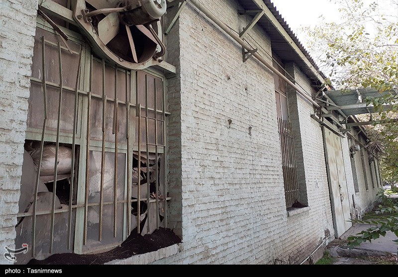 سازمان چای کشور , کالاهای اساسی , کشاورزی , وزارت جهاد کشاورزی , سازمان تعاونی روستایی ایران ,