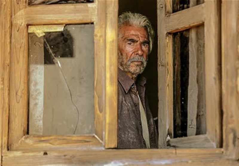 سینما , سینمای ایران , جشنواره فیلم فجر , سی و هشتمین جشنواره فیلم فجر , 