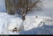 Iranian City of Khalkhal Blanketed by Heavy Snow