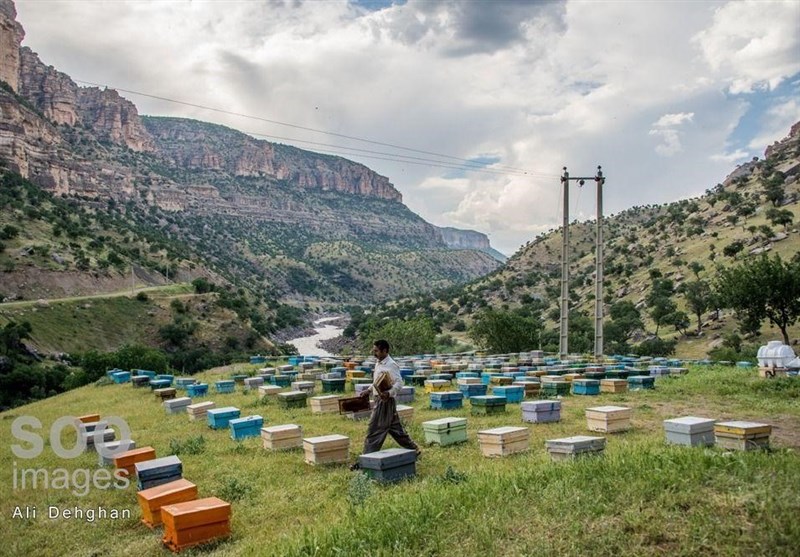 عکس , عکاسی , اقتصاد مقاومتی , 