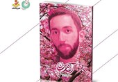 روایت زندگی شهید حدادیان منتشر شد