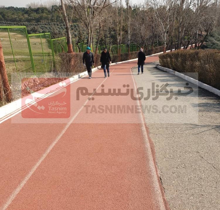 مجموعه ورزشی انقلاب , ویروس کرونا , شرکت توسعه اماکن ورزشی , 