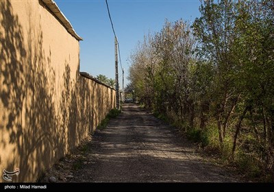 بهار زود هنگام در بهبهان