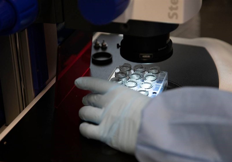 ویروس کرونا , سلولهای بنیادی ,