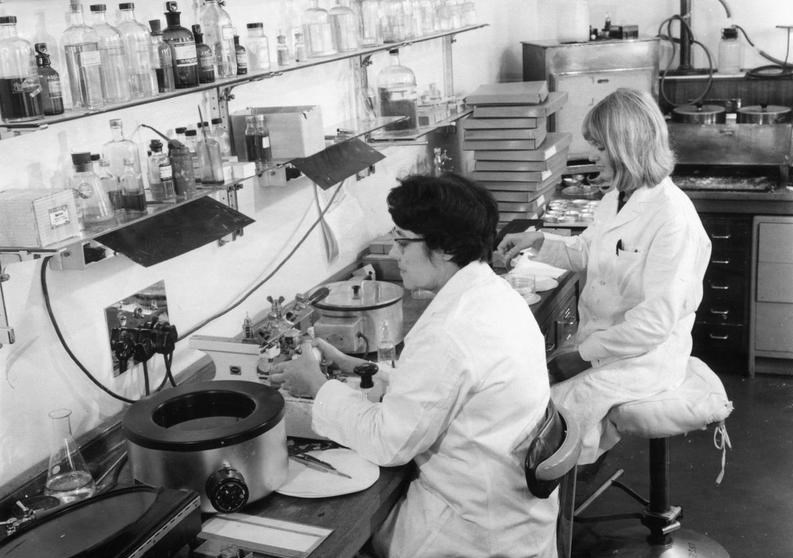 بیوتروریسم , ویروس کرونا , قاره آمریکا , 