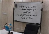 ناشنوایان در آموزش تلویزیون جای ندارند / تدریس مجازی دانش‌آموزان استثنایی چگونه انجام می‌شود؟!