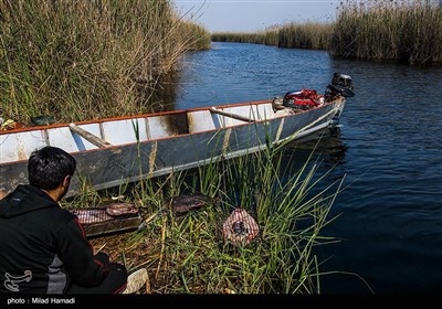 طبیعت تالاب هورالعظیم