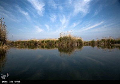 طبیعت تالاب هورالعظیم