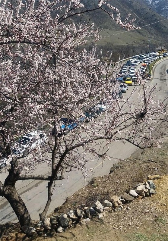 ویروس کرونا , 