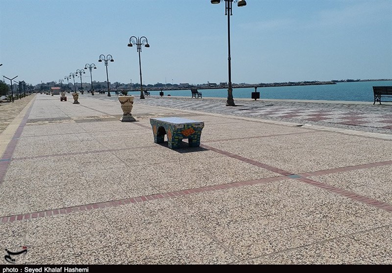 ویروس کرونا , 