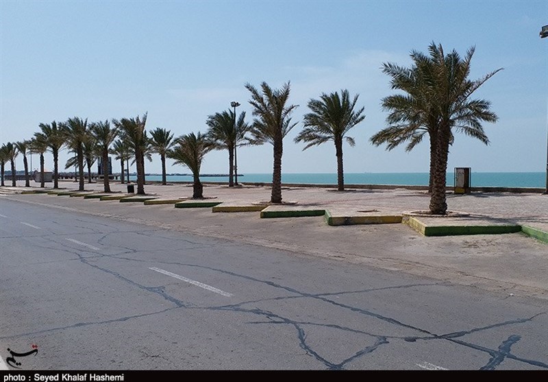 ویروس کرونا , 